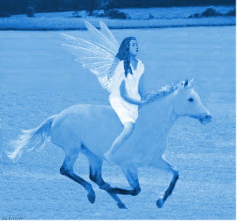 angel pic